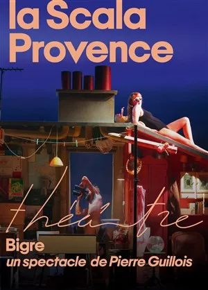 Affiche de Bigre
