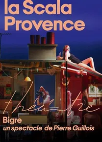 Affiche de Bigre